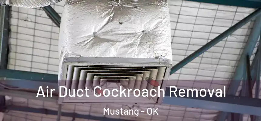  Air Duct Cockroach Removal Mustang - OK