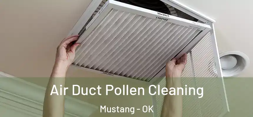  Air Duct Pollen Cleaning Mustang - OK