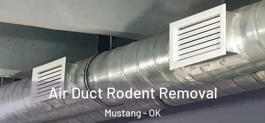  Air Duct Rodent Removal Mustang - OK