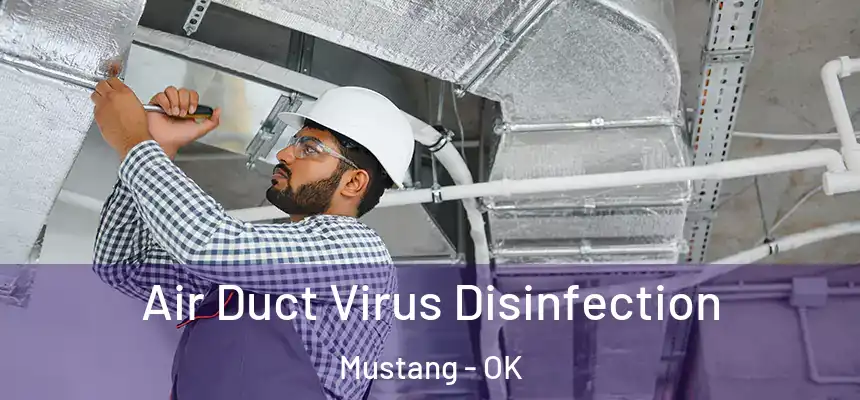  Air Duct Virus Disinfection Mustang - OK