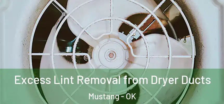  Excess Lint Removal from Dryer Ducts Mustang - OK
