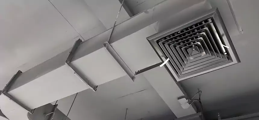 Restorative Allergy Relief Vent Cleaning – Coil, Blower & Housing Detail in Mustang