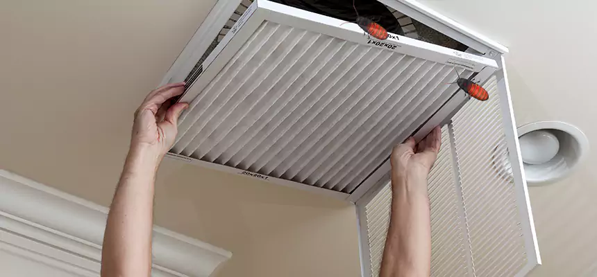 Our Insect Removal from Air Ducts Services in Mustang, OK