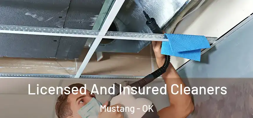  Licensed And Insured Cleaners Mustang - OK