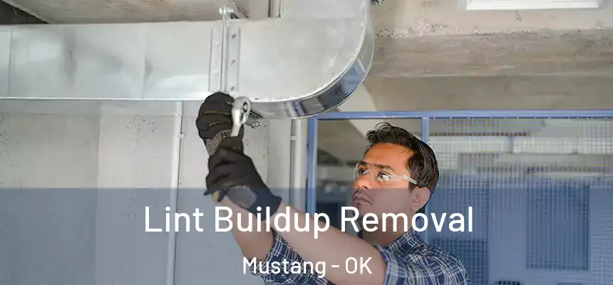  Lint Buildup Removal Mustang - OK