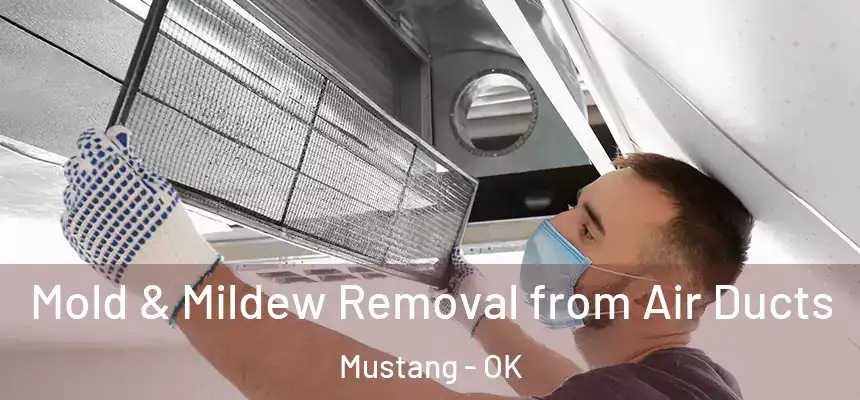  Mold & Mildew Removal from Air Ducts Mustang - OK