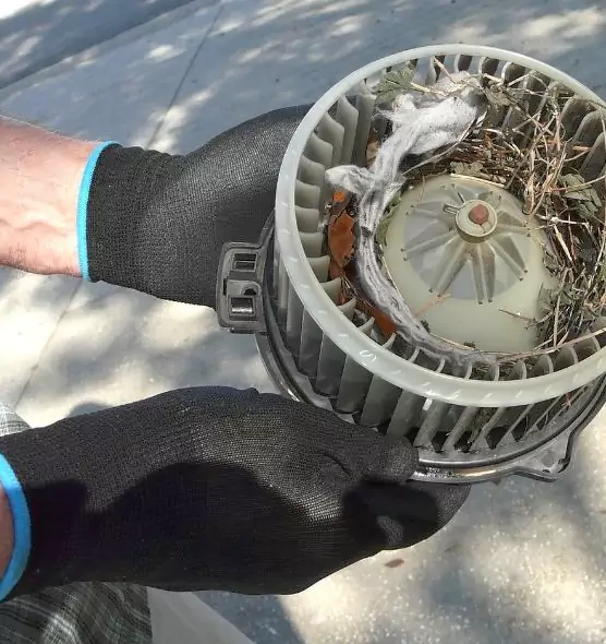 About Air Duct Rat Removal in Mustang, OK