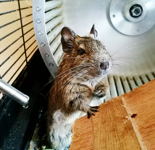 Why Homeowners & Businesses Trust Us Mustang, OK